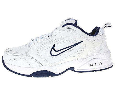 nike old dad shoes